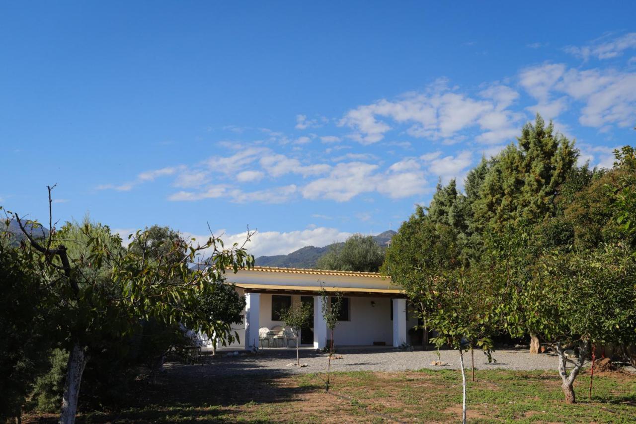 Lavender Farm House Ναύπακτος Εξωτερικό φωτογραφία