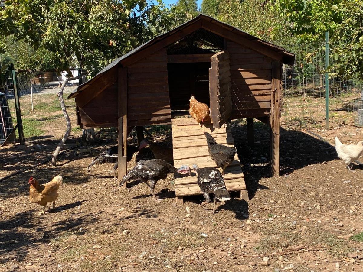 Lavender Farm House Ναύπακτος Εξωτερικό φωτογραφία